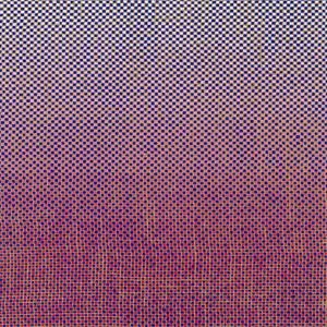 Ambrose Akinmusire:  Slo-Mo Neon Luminate Hoverings