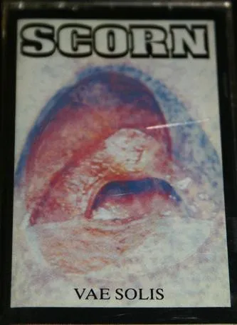 Scorn