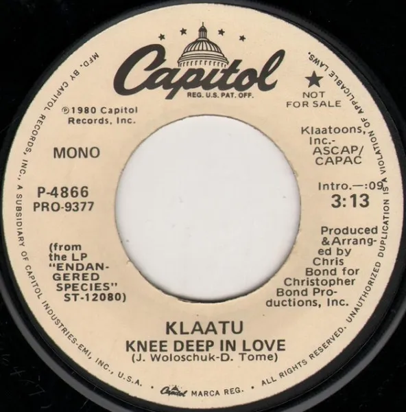 Knee Deep In Love