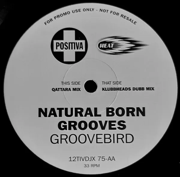 Groovebird