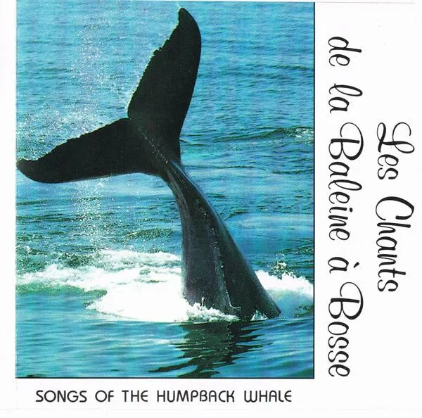 Les Chants De La Baleine À Bosse / Songs Of The Humpback Whale
