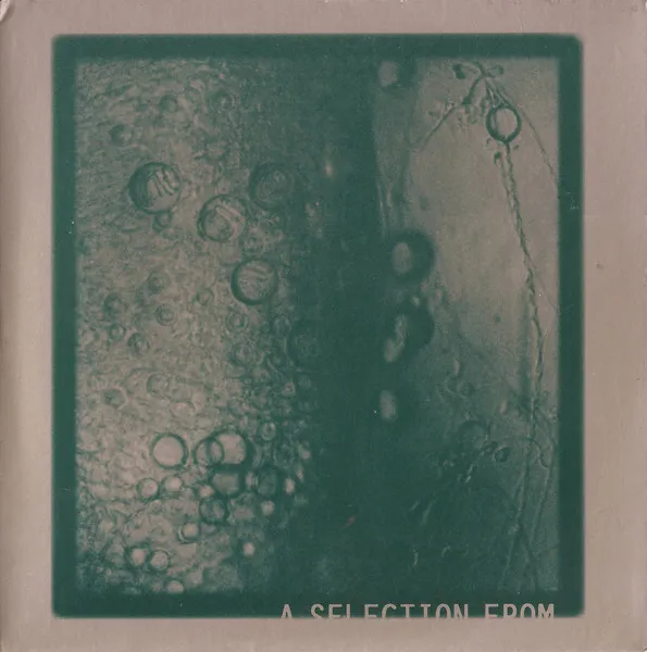 Selections From After The Flood 2