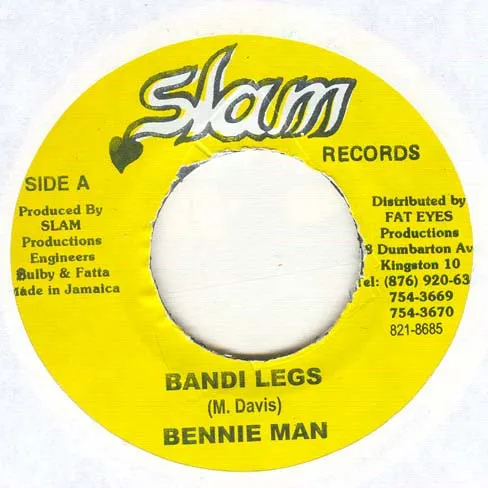 Bandi Legs