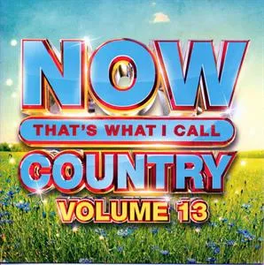 Now That's What I Call Country Volume 13