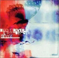 Neo Universe / Finale