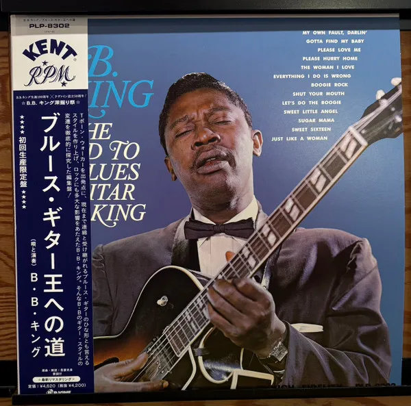 The Road To Blues Guitar King