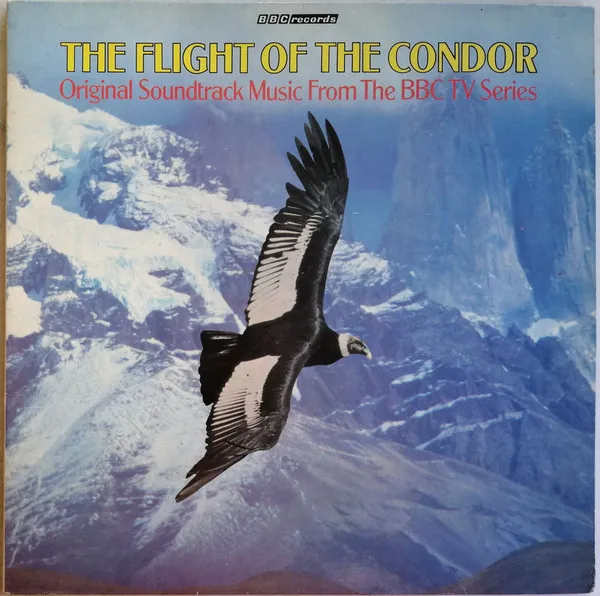 Flight Of The Condor