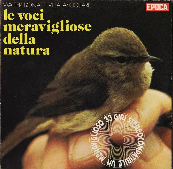 Le Voci Meravigliose Della Natura