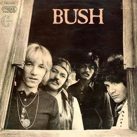 Bush