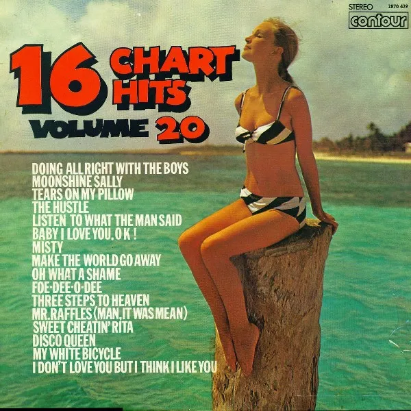16 Chart Hits Volume 20