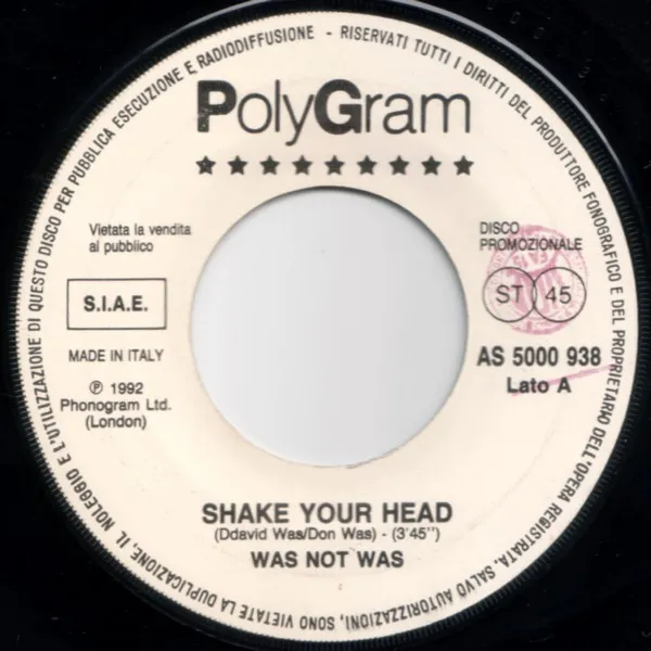 Shake Your Head / A Small Victory