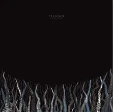 Pelican
