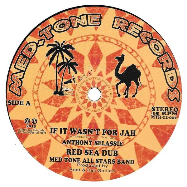If It Wasn't For Jah / Politicians