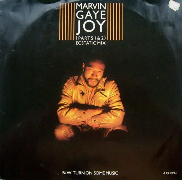 Joy (Parts 1 & 2) (Ecstatic Mix) / Turn On Some Music