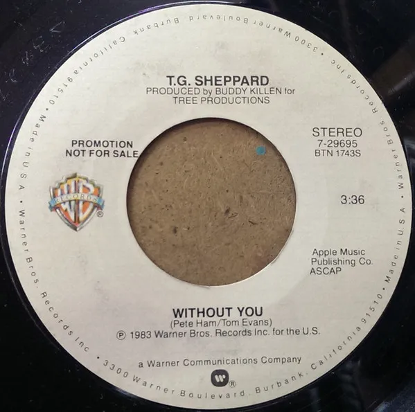 Without You