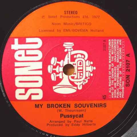 My Broken Souvenirs