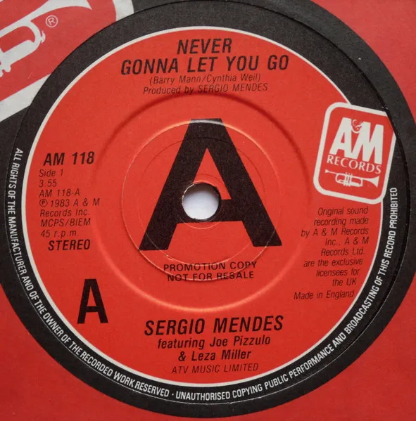 Never Gonna Let You Go