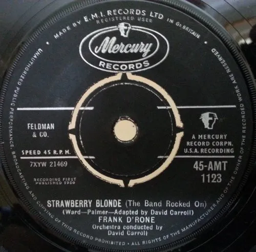 Strawberry Blonde (The Band Rocked On)