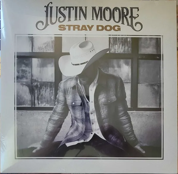 Stray Dog