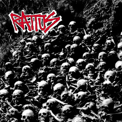 Rattus