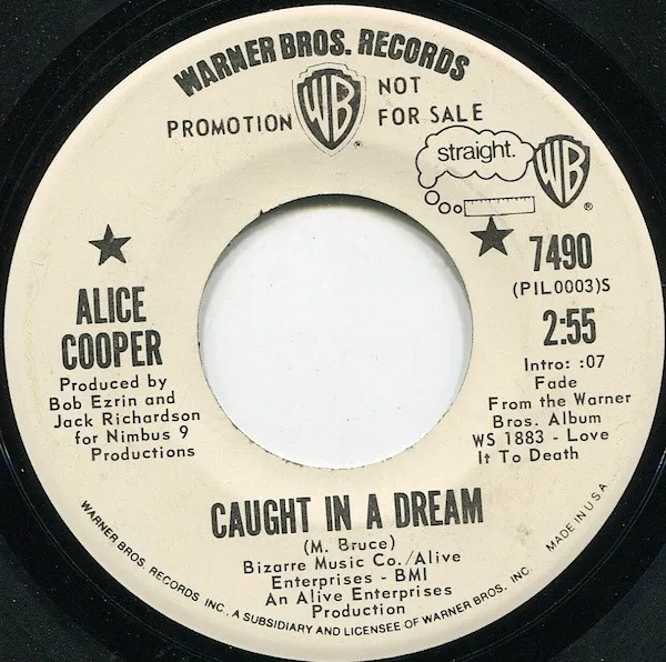 Caught In A Dream