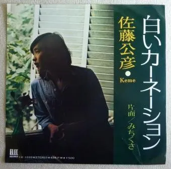 白いカーネーション / みちくさ