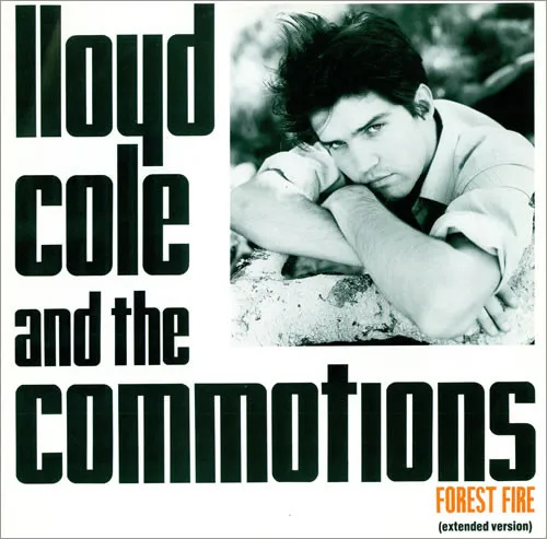 Forest Fire (Extended Version)
