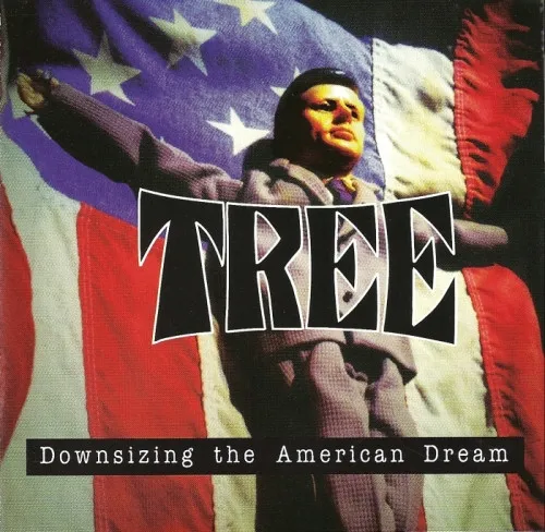 Downsizing The American Dream
