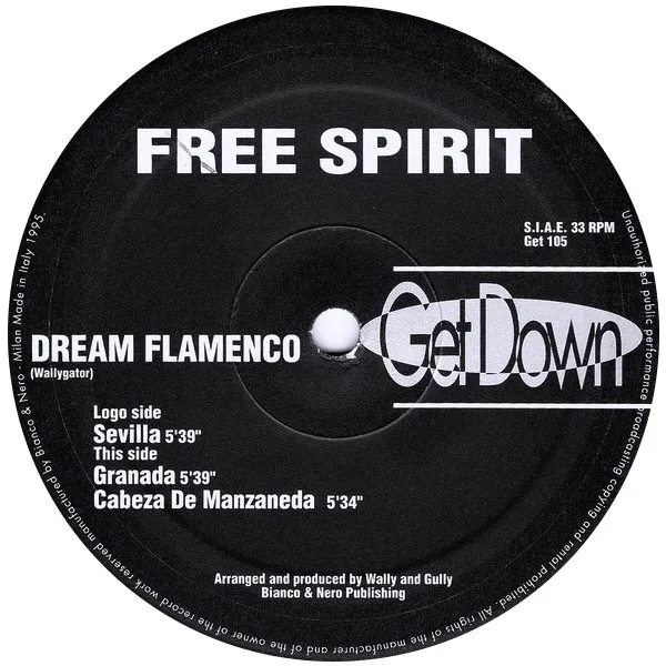 Dream Flamenco