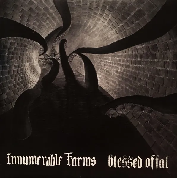 INNUMERABLE FORMS