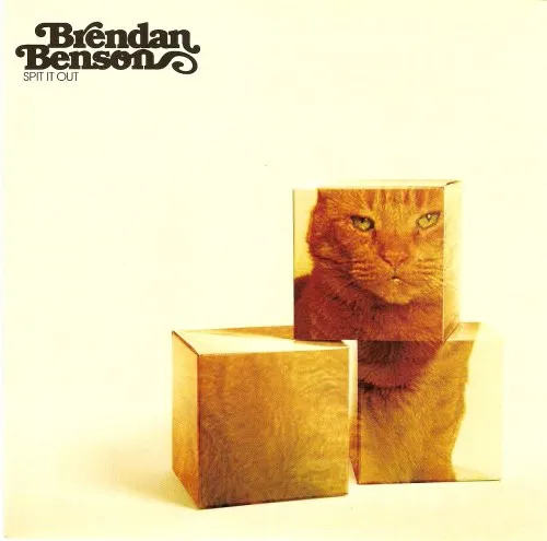 Brendan Benson