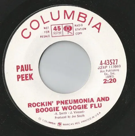 Rockin' Pneumonia And Boogie Woogie Flu
