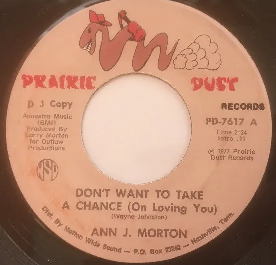 Don`t Want To Take A Chance ( On  Loving You ) / Tainted Rose