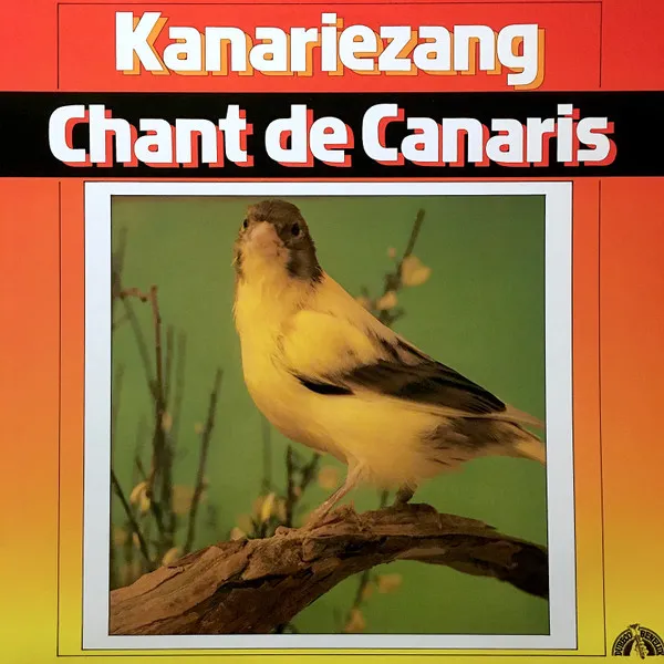 Kanariezang / Chant De Canaris