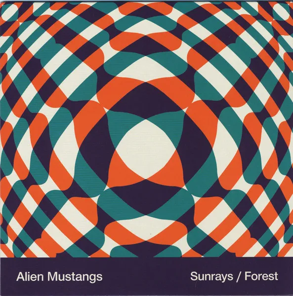 Sunrays / Forest