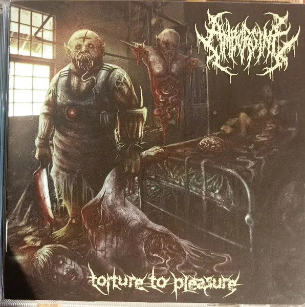 Torture To Pleasure