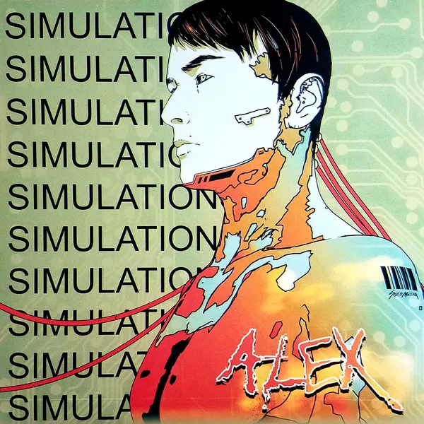 Simulations