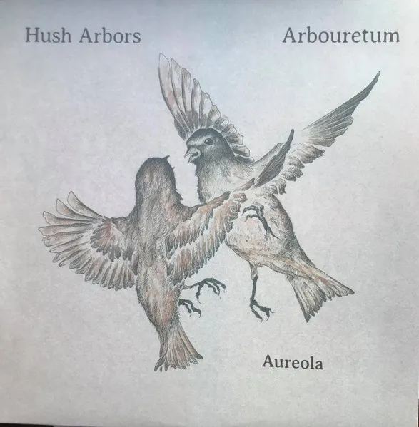 Aureola