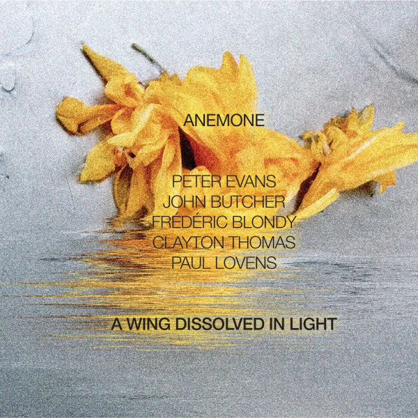 A Wing Dissolved In Light