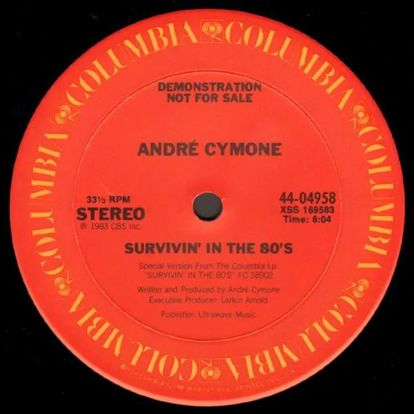 Survivin' In The 80's