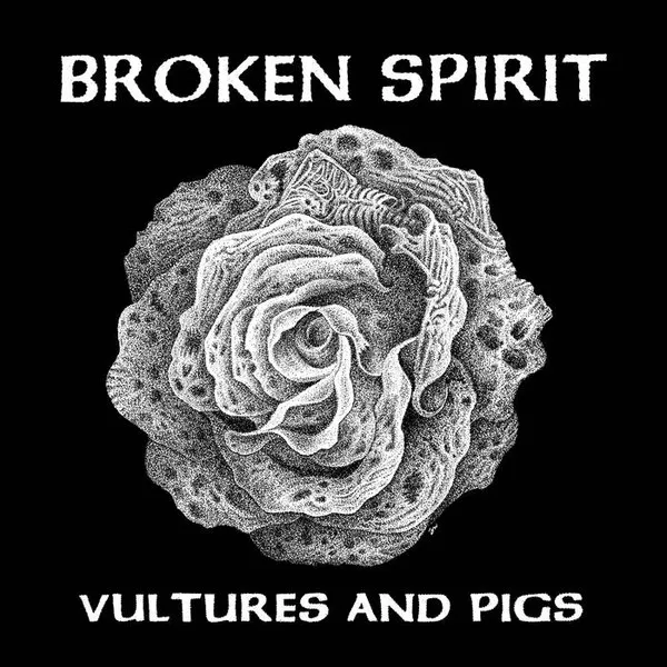 Vultures And Pigs