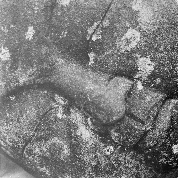 Ruins III