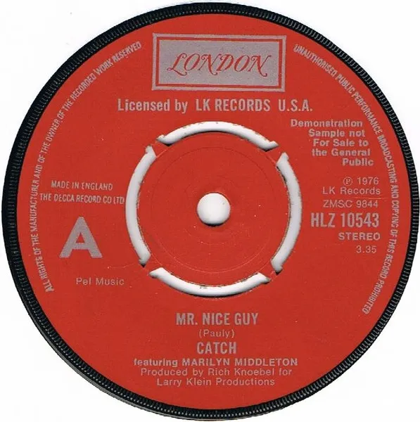 Mr. Nice Guy