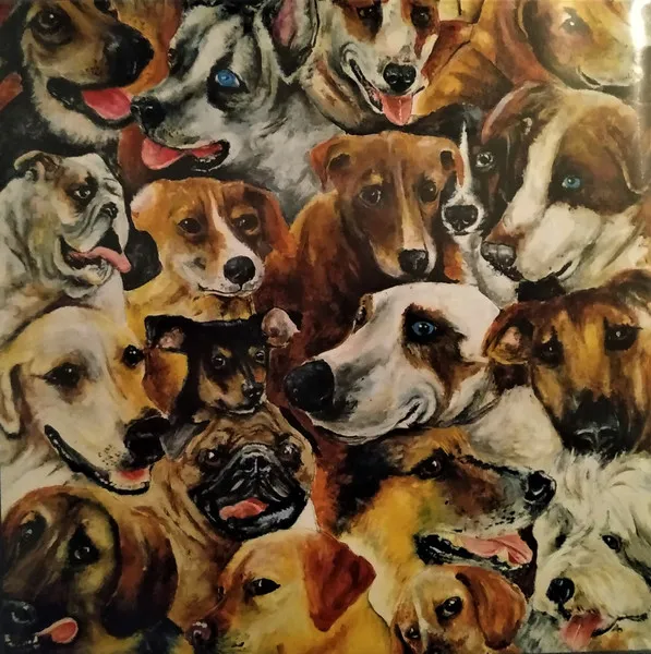 Oil Of Dog