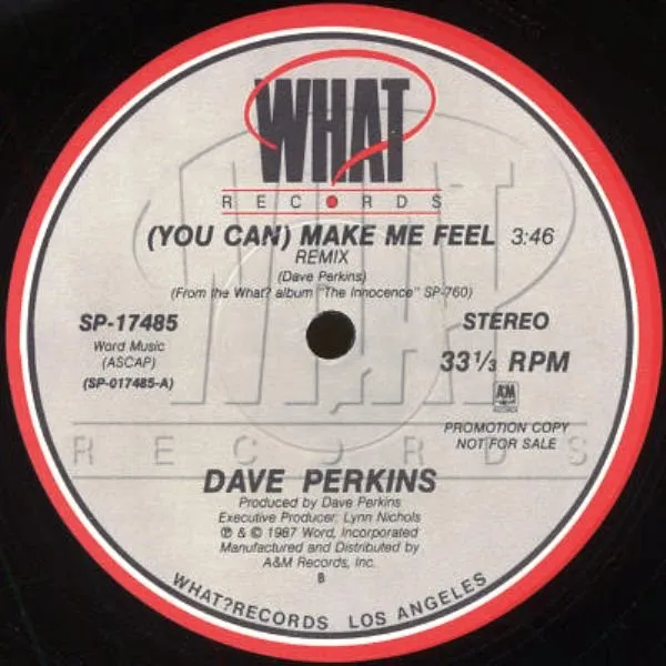 (You Can) Make Me Feel (Remix)