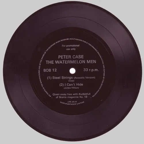 Steel Strings / I Can't Hide