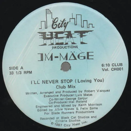 I'll Never Stop (Loving You)