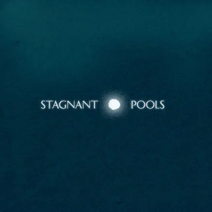 Stagnant Pools