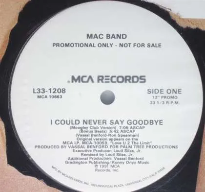 I Could Never Say Goodbye