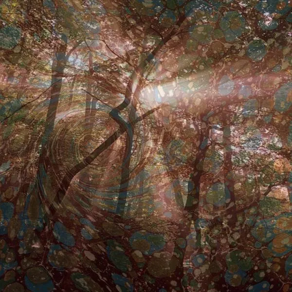 Nature Recordings